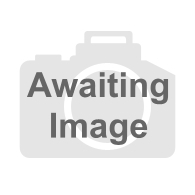 Large Pan Fasteners KFX Concrete Screwbolt Anchor - Large Pan Head - BZP - Kernow Fixings