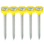 3.5x55mm BZP Collated Drywalls Fine Thread