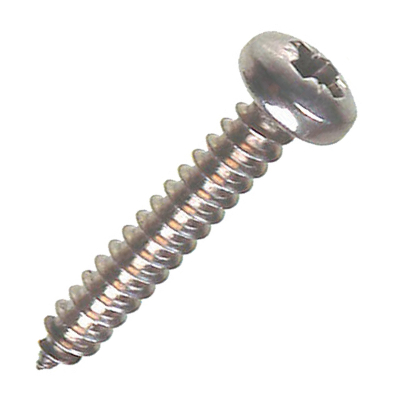 10x1 1/4Inch S/S Pan S/Tap Screw